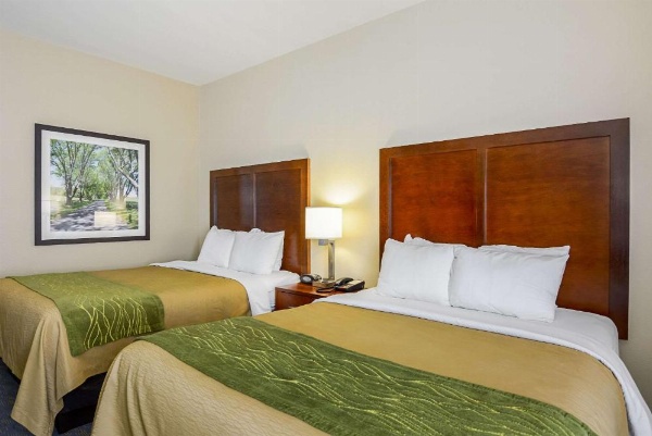 Comfort Inn Woodstock image 13