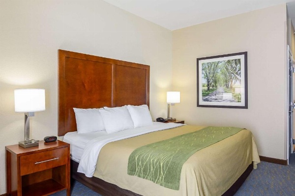 Comfort Inn Woodstock image 16