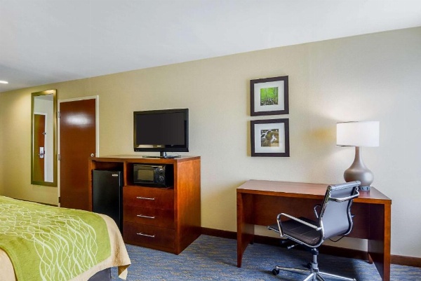 Comfort Inn Woodstock image 9